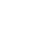 Aoyama VN